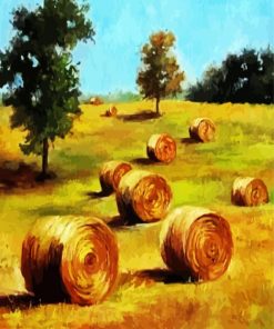 Golden Bay Bales Art paint by numbers