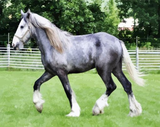 Grey Shire Horse paint by numbers