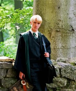 Harry Potter Draco Malfoy paint by numbers