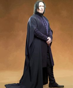 Harry Potter Snape paint by numbers