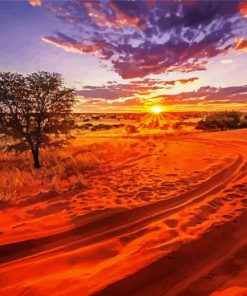 Kalahari Desert At Sunset paint by number