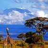 Kenya Mount Kilimanjaro And Giraffes paint by number