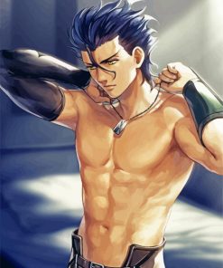 Lancer Fate Zero Anime paint by number