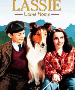 Lassie Come Home Posterpaint by numbers