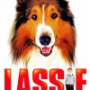 Lassie Movies paint by numbers