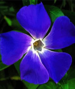 Light Indigo Flower paint by numbers