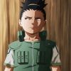 Little Shikamaru paint by numbers