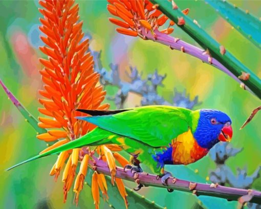 Lorikeet Bird paint by numbers