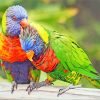 Lorikeet Birds paint by numbers