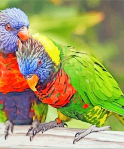 Lorikeet Birds paint by numbers