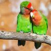 Lovely Lovebirds paint by numbers