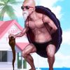 Master Roshi paint by numbers