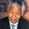 Nelson Mandela paint by numbers