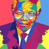 Nelson Mandela Pop Art paint by numbers