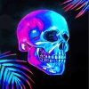 Neon Skull Head paint by numbers