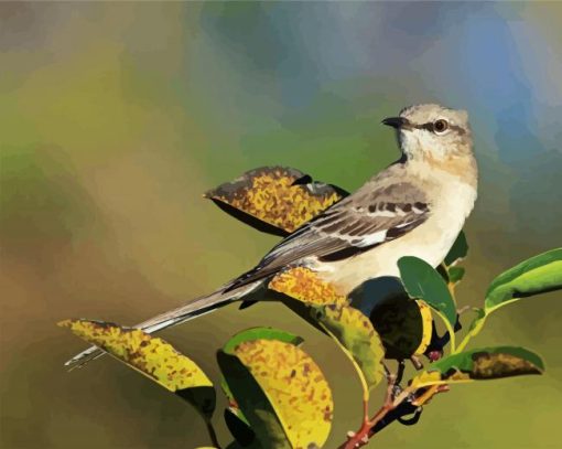 Northern Mockingbird On Plants paint by numbers