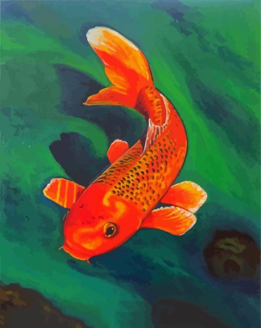 Orange Koi Carp paint by number