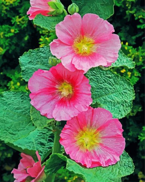 Pink Hollyhocks paint by numbers