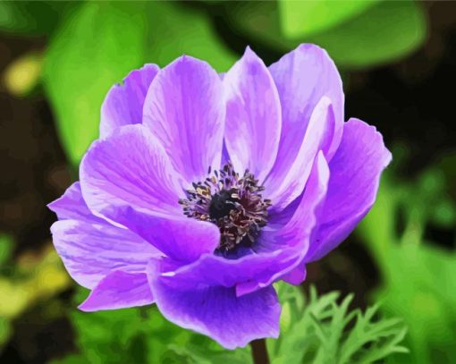 Purple Anemones paint by numbers