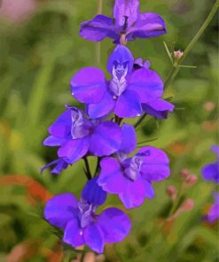 Purple Larkspur paint by number