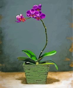 Purple Orchid paint by numbers