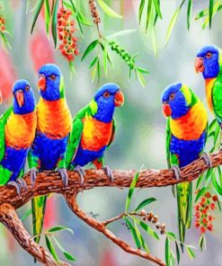 Rainbow Lorikeet Birds paint by numbers