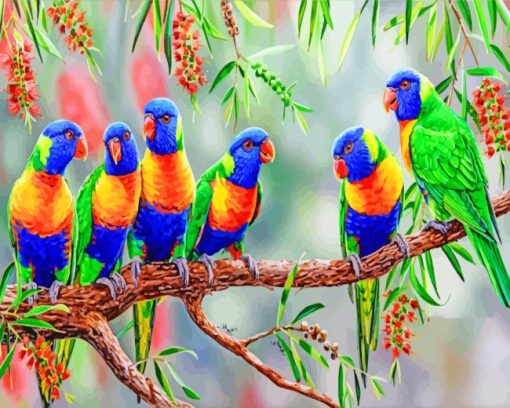 Rainbow Lorikeet Birds paint by numbers