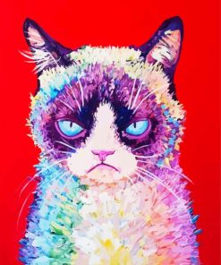 Rainbow Grumpy Cat paint by number