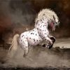 Rearing Appaloosa Horse paint by numbers