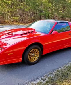 Red Firebird Car paint by number