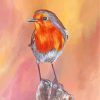 Robin Bird paint by numbers