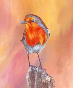 Robin Bird paint by numbers