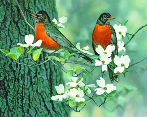 Robin Birds In Spring paint by numbers