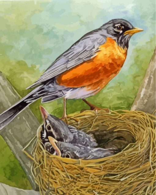 Robin With Baby Birds paint by numbers