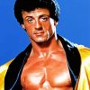 Rocky Balboa By Sylvester Stalon paint by numbers