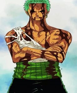 Roronoa Zoro Anime paint by numbers