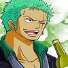 One Piece Roronoa Zoro paint by numbers