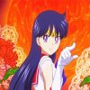 Sailor Moon Mars paint by number