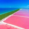 Saltwater Lagoon Bonaire Island paint by number