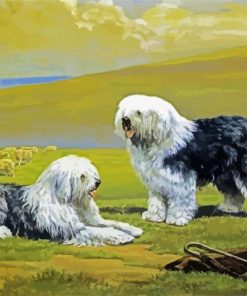 Sheepdogs Art paint by numbers