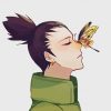 Shikamaru And Butterfly paint by number