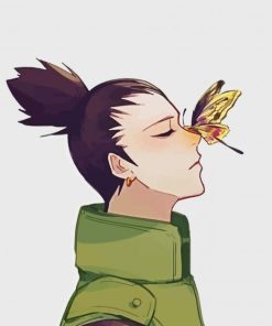 Shikamaru And Butterfly paint by number