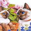 Siamese Cats And Flower paint by number