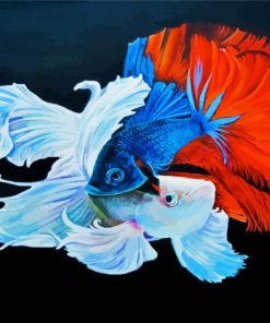 Siamese Fighter Fish paint by number