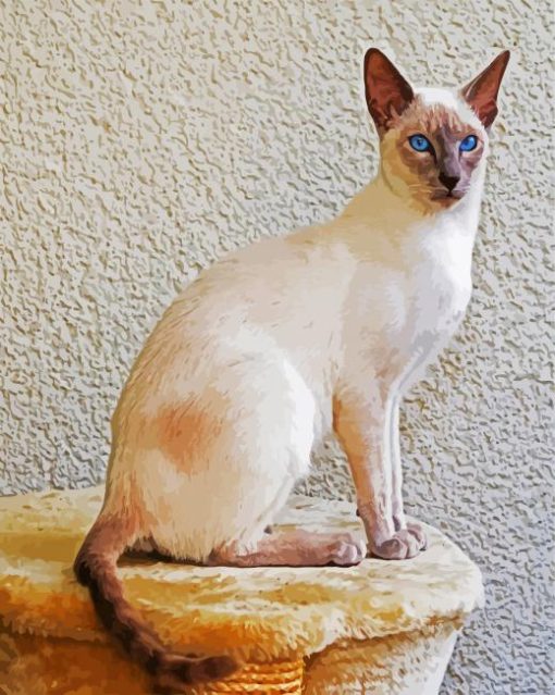 Siamese With Blue Eyes paint by number