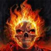 Flaming Skull Head paint by numbers