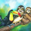 Sloth With Toucan And Owl paint by number