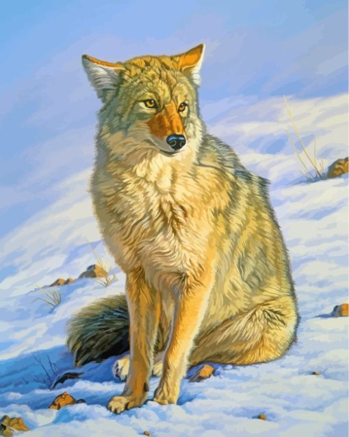 Snow Coyote paint by number