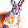 Splatter Colorful Kangaroo paint by numbers