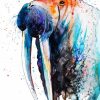 Splatter Walrus paint by numbers